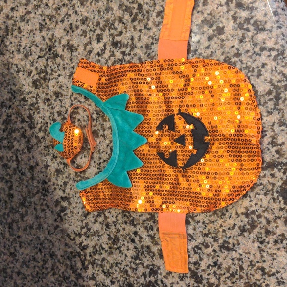 Pumpkin small pet Halloween costume - Picture 4 of 5